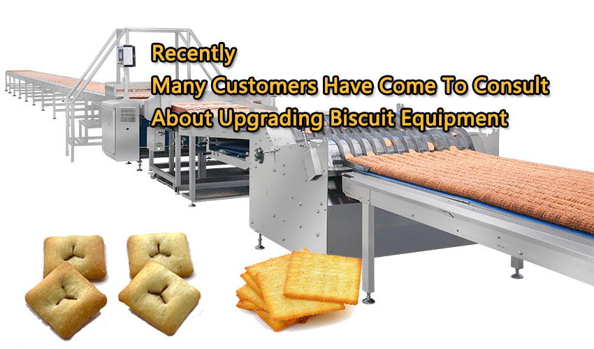 Recently,-many-customers-have-come-to-consult-about-upgrading-biscuit-equipment.jpg