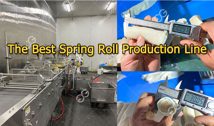 Spring-roll-production-line-in-China.jpg