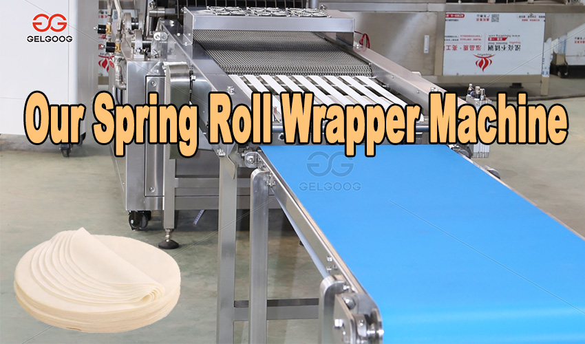 Introducing-Our-Spring-Roll-Wrapper-Machine.jpg