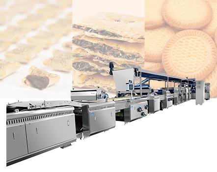 Automatic Biscuit Line Solution
