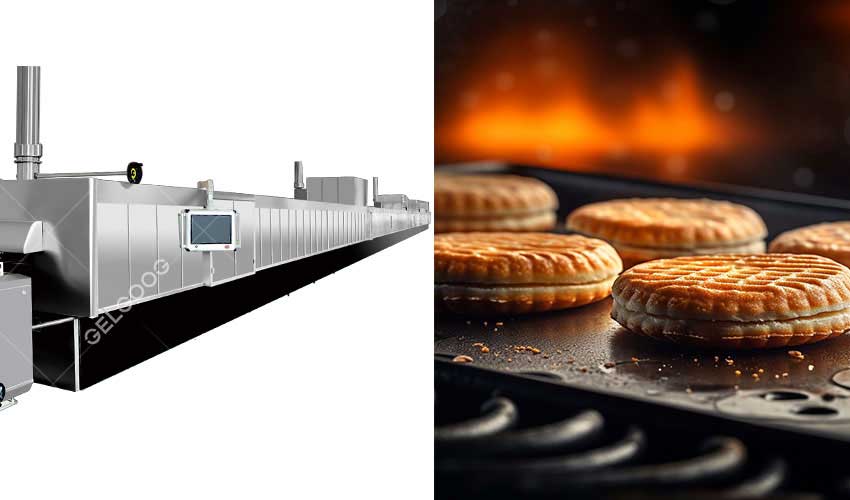 Hard,-Soft-&-Cracker-Production-Line.jpg