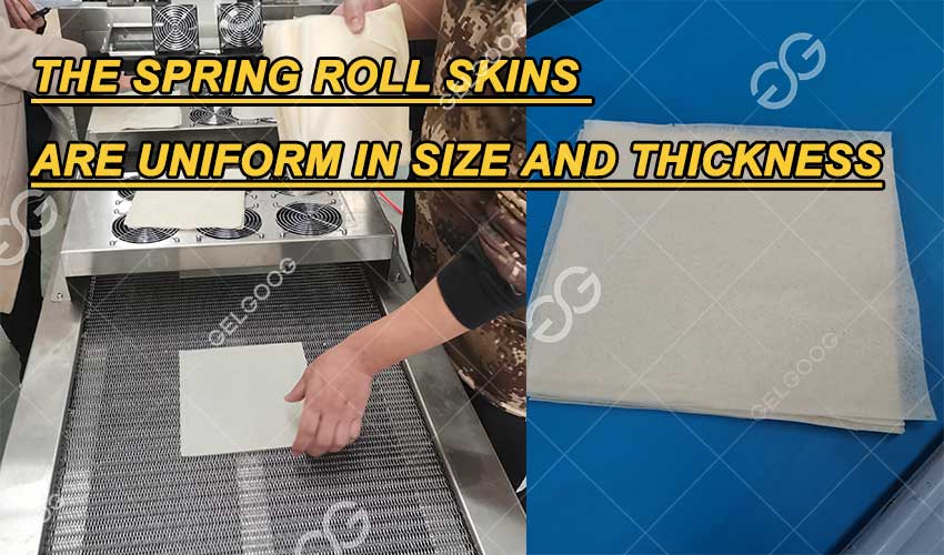 A Test Run Video of Our Spring Roll Wrapper Production Line