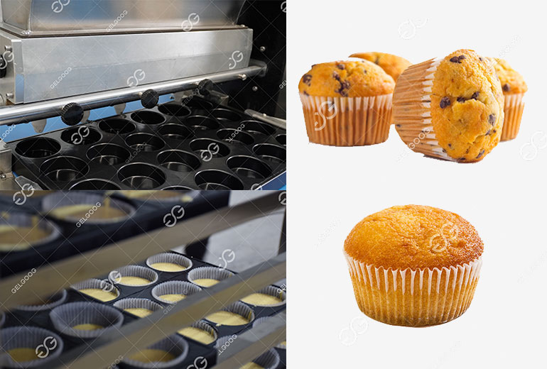 Cake production line2 (2).jpg