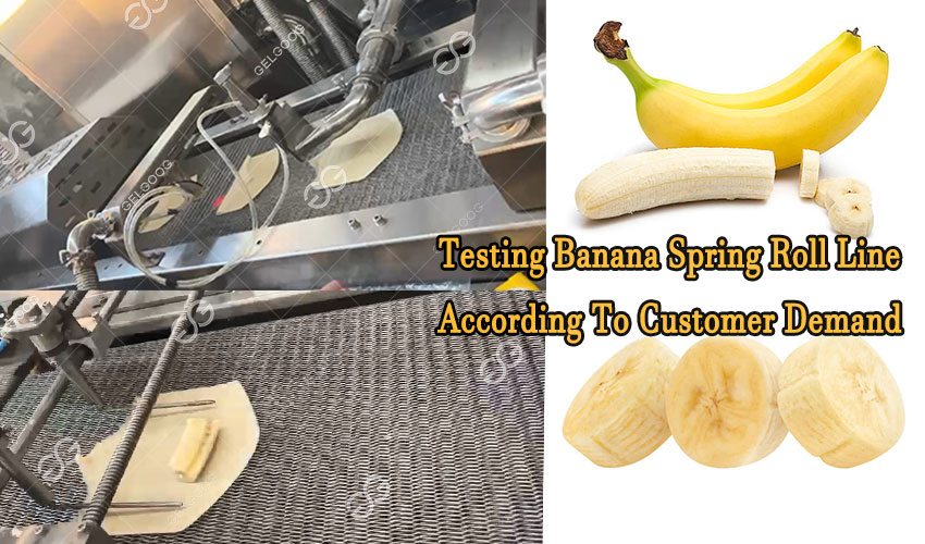 Testing-banana-spring-roll-line-according-to-customer-demand.jpg