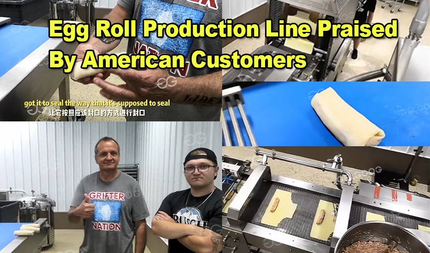 Egg-Roll-Production-Line-Praised-By-American-Customers.jpg
