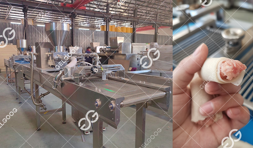 Buy-Spring-Roll-Production-Line.jpg